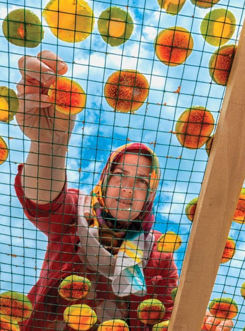 Instagram Contest 2022 August